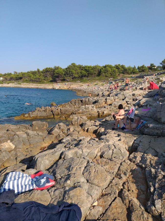 Vlasta Mali Lošinj Exteriör bild