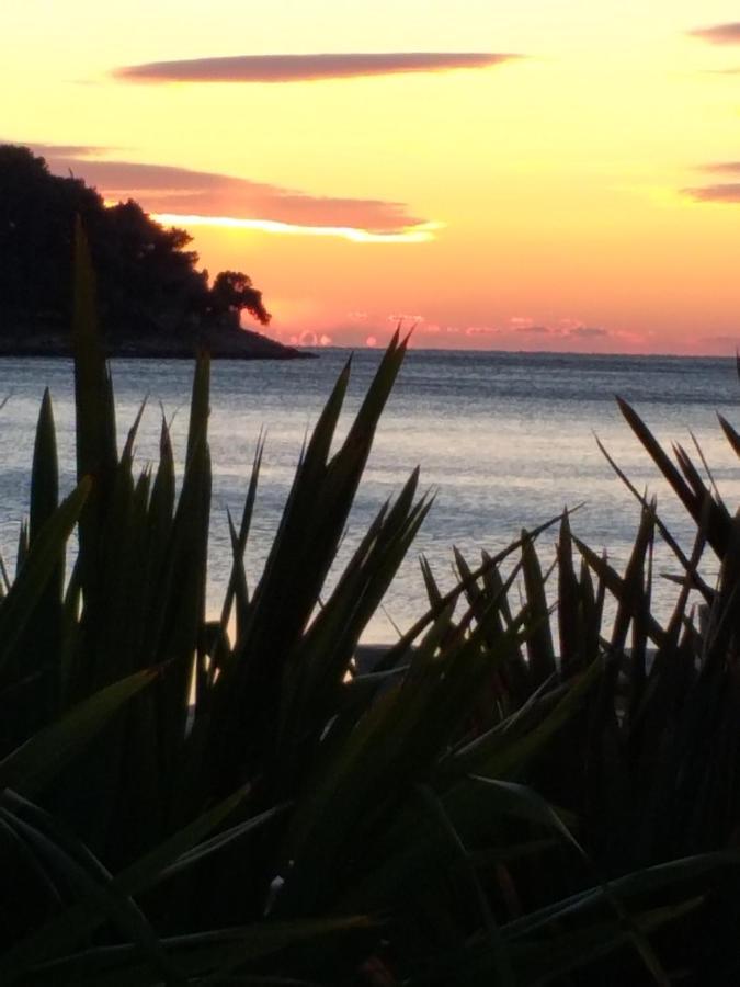 Vlasta Mali Lošinj Exteriör bild